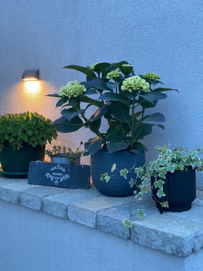 B&B Plitvice Area Natura 塞里特雷尼科 外观 照片